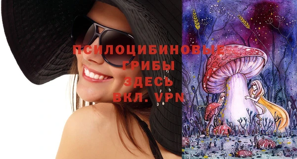 скорость Богданович