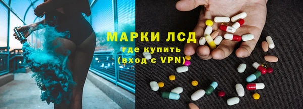 шишки Богородицк