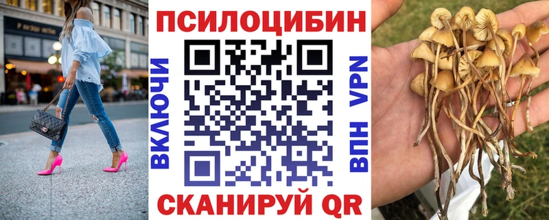 Галлюциногенные грибы Magic Shrooms  Калач 